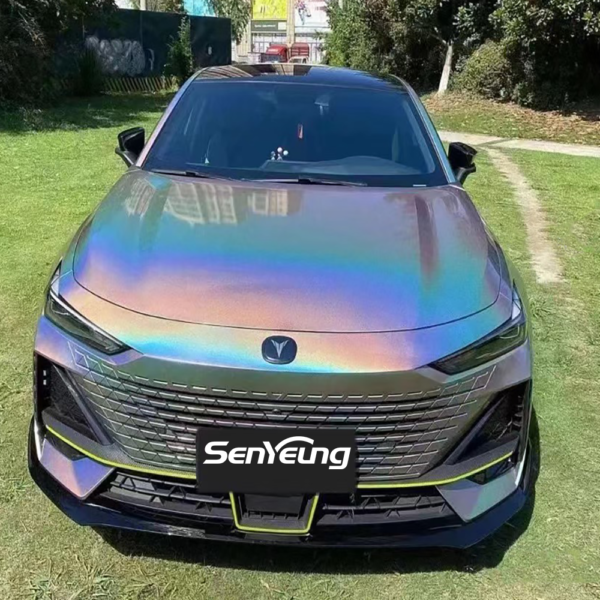 Ultra Fine Loose Holographic Nail Art Powder Holo Pigment for Car Paint - Image 6